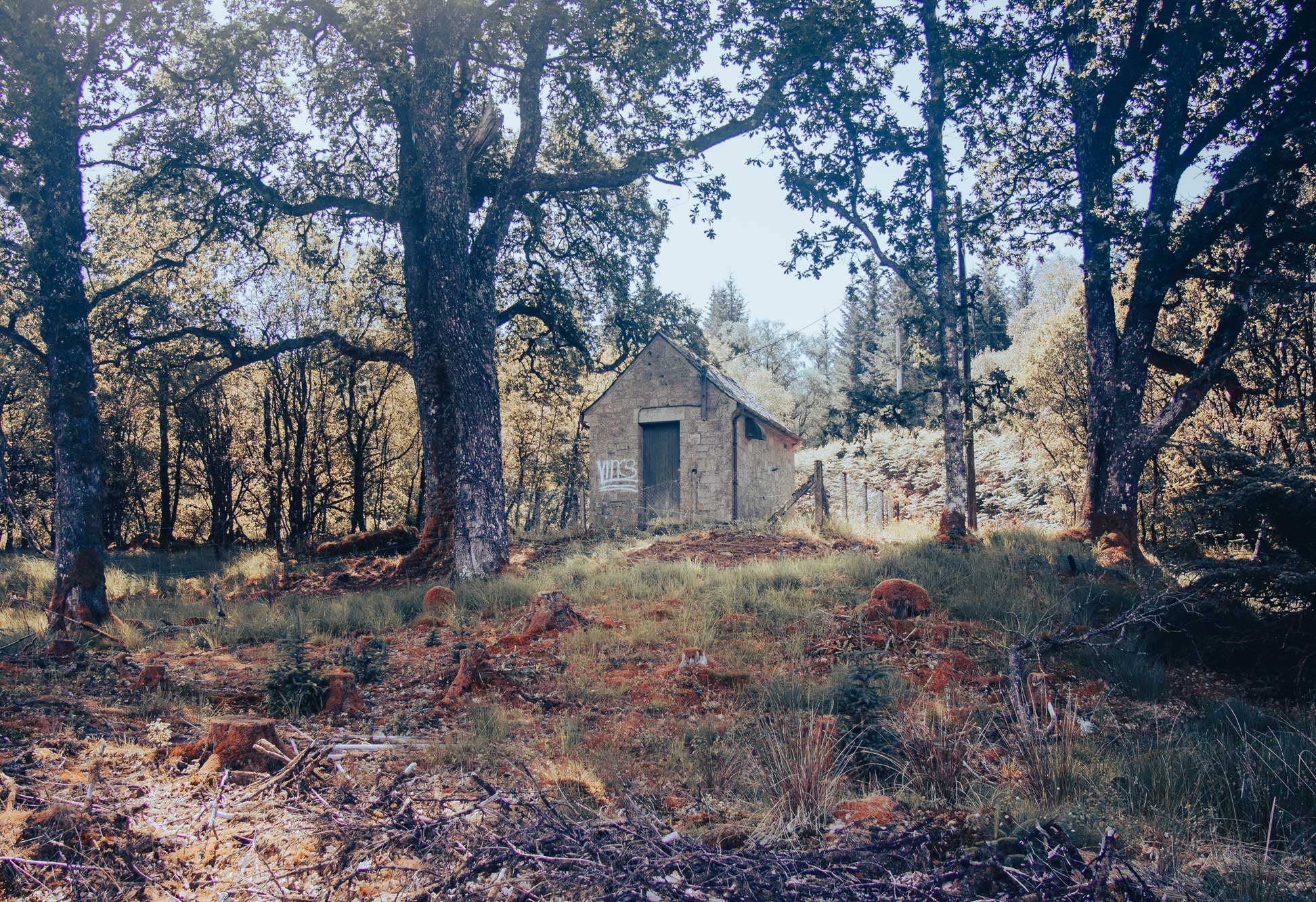 Photograph of the existing former telephone repeater station set amongst ancient oak woodland in Glen Aray, near Inveraray, Argyll, prior to its proposed adaptive reuse as a partially off-grid retreat.